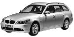 BMW E61 P175C Fault Code